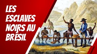 Les esclaves noirs au Brésil [upl. by Niwrehs]