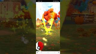 Event pumpkaboo in pokemon go pokemongo [upl. by Simpkins]