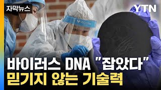 자막뉴스 국내 연구진의 놀라운 기술력 획기적으로 감염 밝혀내  YTN [upl. by Haem354]