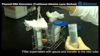 Plasmid DNA Extraction Traditional Alkaline Lysis Method [upl. by Eerolam]