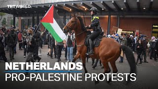 Dutch police accused of violence at proPalestine protests [upl. by Pampuch809]