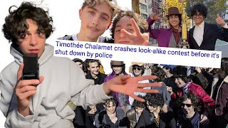 i judged the timothee chalamet lookalike contest [upl. by Eseret387]