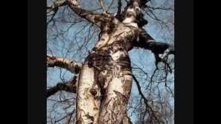 60 WEIRDEST TREES in the World  Funny Unbelievable [upl. by Aseel]