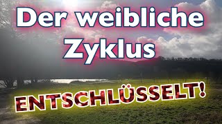 Weiblicher Zyklus 🧖‍♀️ hormongerechte Ernährung amp Training [upl. by Ferdinande]