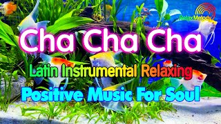 New Latin Cha Cha Cha Melody Instrumental Positive Music Beautify Your Soul Animals Relax [upl. by Iad594]