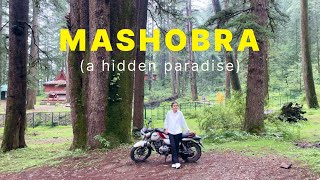 ll Discovering new routes of Mashobra📍ll Off the beaten path🌲ll [upl. by Nitin]