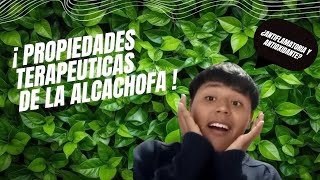 La Alcachofa Un Tesoro Natural para la Salud Humanaquot [upl. by Kcirddet]