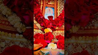 Sadhi Maa video  Sadhi Maa status  Sadhi Maa Gujarati Video shorts viralvideo sadhi [upl. by Cyler]