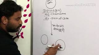 Concept of diploid and haploid cell Simplify your biology [upl. by Dibb]