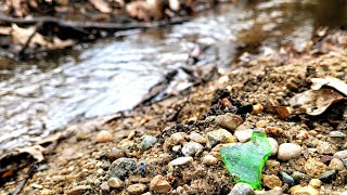 Letting Nature Do The Talking Rockhounding In A New Tiny Creek [upl. by Hachman]