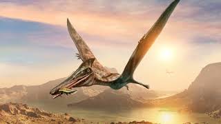 Flying Pterodactyls  Dinosaur Fun Facts [upl. by Yelnoc]