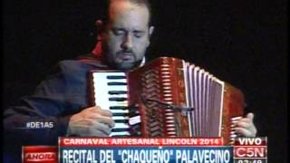 C5N  MUSICA RECITAL DEL CHAQUEÑO PALAVECINO EN LINCOLN [upl. by Thomsen943]