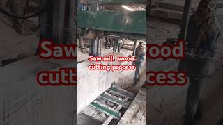 Saw mill wood cutting process funny vlog cuttingskills [upl. by Marguerite938]