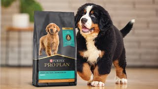 Purina Pro Plan Sensitive Skin and Stomach Dog Food Dry Adult Salmon Rice Formula Digestive Health [upl. by Jenne]