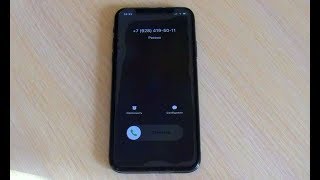 iPhone X incoming call [upl. by Petula]