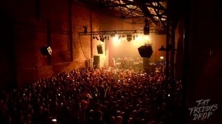 Fat Freddys Drop Blackbird Live at Village Underground London 2013 [upl. by Naivart]