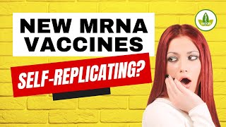 SelfReplicating mRNA Vaccines Should You Be Worried [upl. by Eilyk796]