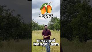 Mango Farm for sale in Malvan kokanvastu kokanproperty kokan [upl. by Htabmas]