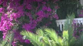 Karpathos Hotel Zephyros Village  Garden Villa [upl. by Tarttan143]