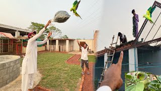 Birds Aviary Main Ye Bi Lga Diye 🥰  Green Ringneck Parrot [upl. by Elmina119]