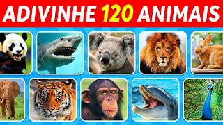 Reino animal  7° ano  Ciências  Aula completa com RESUMO  2022 [upl. by Gehlbach]