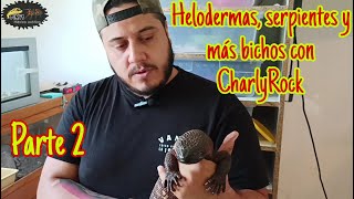 Helodermas serpientes y mas bichos con CharlyRock Parte 2 [upl. by Garald]