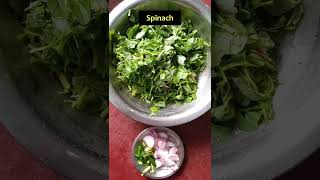 Saga Bhaja Odia Style  Spinach Fry shorts sagabhaja odiafood spinach [upl. by Dupin375]