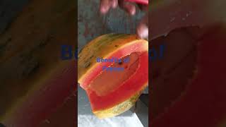 Benefits of papaya tamilspeech papaya health healthyfood [upl. by Ailedroc581]