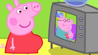 Baby Peppa is on TV  Cartoons for Kids  Mini Movie  Peppa Pig Tales [upl. by Kraska579]