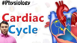 cardiac cycle or heart beat  cardiac cycle in hindi so easy [upl. by Pedaiah]