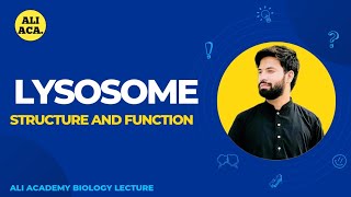 Lysosome Structure And Functions [upl. by Hsaniva989]