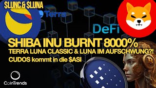 💸🔥Shiba Inu verbrennt 8000  LUNC Upgrade bringt   Uniswap unter Beschuss [upl. by Oehsen]