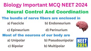 Neural Control And Coordination MCQ  Class 11 Biology One Shot  NEET Biology 2024 MCQ [upl. by Horodko]