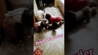 viralshots funny love cutebaby enjoy cute powder [upl. by Mixie]