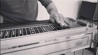 Crosby Stills and Nash Teach Your Children Pedal Steel Guitar Cover [upl. by Damiani]