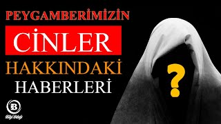 Cinler Hakkında Hiç Duymadıklarınız [upl. by Airamana]