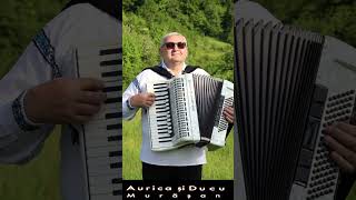 music cantaricrestine acordeon cassotto weltmaister vioara romania shorts ducumurasan [upl. by Ocir782]