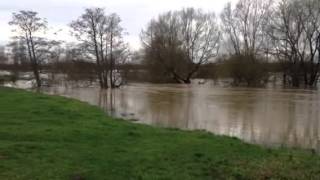 Flooding at Lacock by Marston Tillyer [upl. by Sisi]