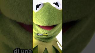 KERMIT ha fatto una Cosa ORRIBILE [upl. by Stempson]