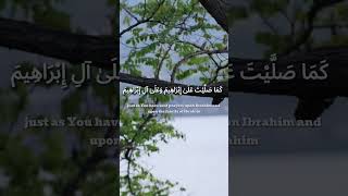 DarudEIbrahim islam islamic dorud muhammadﷺ recitation peaceful [upl. by Enom]