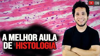 Tecido Muscular e Nervoso  A AULA MAIS COMPLETA DE HISTOLOGIA DO YOUTUBE [upl. by Deach]