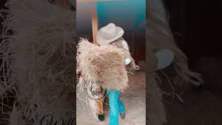 countrymusic cowgirl country farm foryou fyp [upl. by Noremmac]