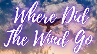 Where Did The Wind Go by Murrell Ewing [upl. by Navlys]