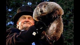 Groundhog Day Full coverage of Punxsutawney Phils 2018 prediction [upl. by Eiramnerual]