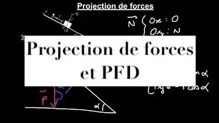 Méthodes scientifiques  projection de forces et principe fondamental de la dynamique [upl. by Wehrle]