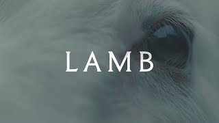 Lamb 2021  Now Thats A Shot [upl. by Standford]