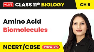 Amino Acid  Biomolecules  Class 11 Biology Chapter 9 live [upl. by Arquit]