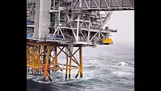 Understanding Offshore Wellhead Facilities The Backbone of Subsea Oil and Gas Production [upl. by Steddman322]