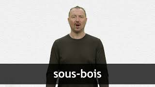 How to pronounce SOUSBOIS in French [upl. by Nanfa]