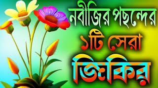 নবীজির পছন্দের সেরা ১টি জিকির  Nabijir top one Jikir  Ghazaltv25  Gojal Ghazal Gojol [upl. by Aniakudo]